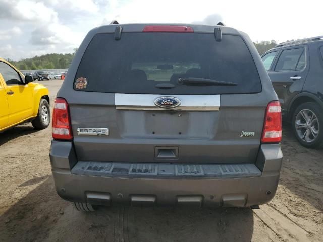 2011 Ford Escape Limited