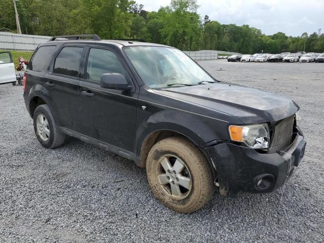 2008 Ford Escape XLT