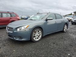 Salvage cars for sale from Copart Eugene, OR: 2011 Nissan Maxima S