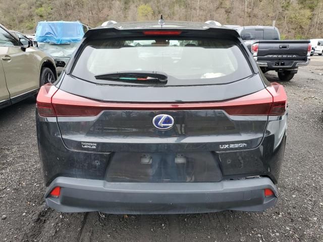 2022 Lexus UX 250H Base