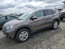 Vehiculos salvage en venta de Copart Eugene, OR: 2014 Honda CR-V EXL