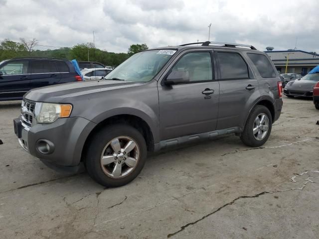 2011 Ford Escape Limited