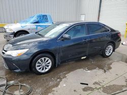 Salvage cars for sale from Copart New Orleans, LA: 2016 Toyota Camry LE