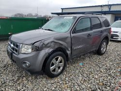 Ford Escape xlt salvage cars for sale: 2011 Ford Escape XLT