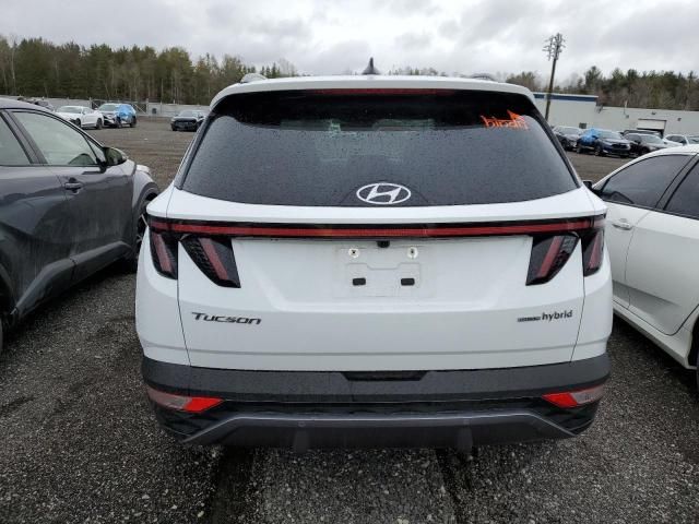 2023 Hyundai Tucson Luxury