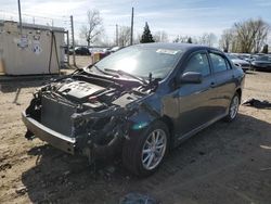 Salvage cars for sale from Copart Lansing, MI: 2009 Toyota Corolla Base