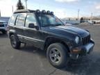 2003 Jeep Liberty Renegade