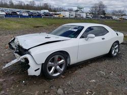 Dodge salvage cars for sale: 2012 Dodge Challenger R/T