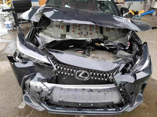 2024 Lexus NX 350H Base