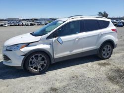Salvage cars for sale at Antelope, CA auction: 2014 Ford Escape Titanium