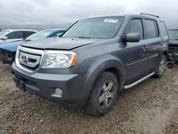 Honda salvage cars for sale: 2010 Honda Pilot EXL