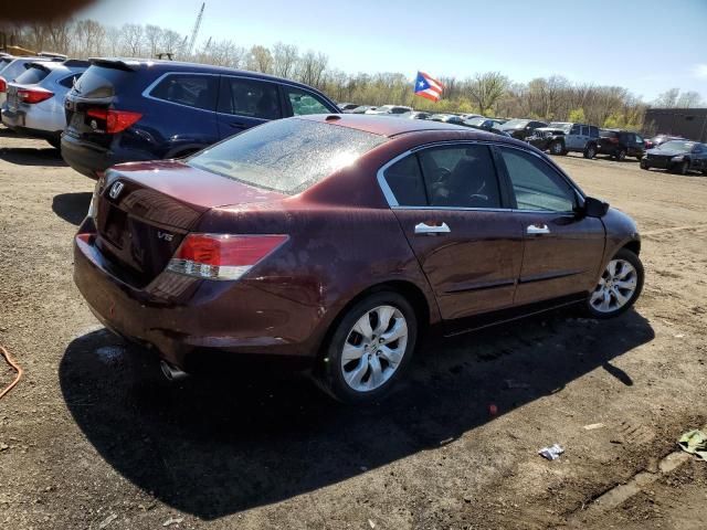 2010 Honda Accord EXL