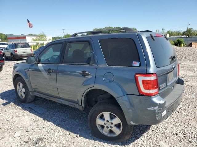 2010 Ford Escape XLT