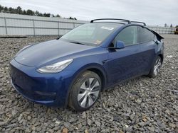 Tesla salvage cars for sale: 2021 Tesla Model Y