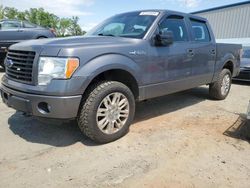 Salvage cars for sale from Copart Spartanburg, SC: 2014 Ford F150 Supercrew