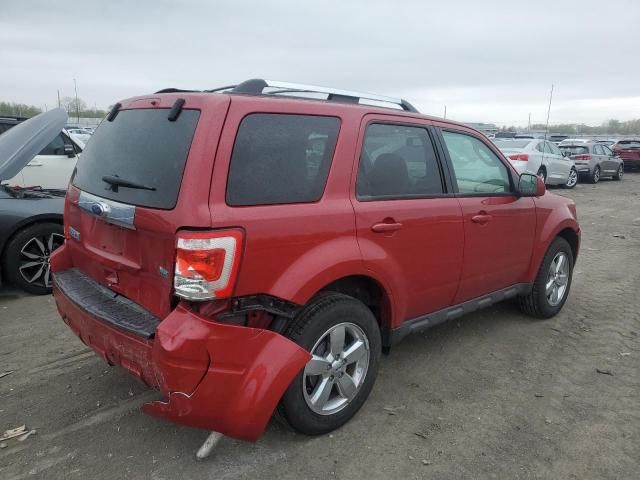 2010 Ford Escape Limited