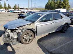 Salvage cars for sale from Copart Rancho Cucamonga, CA: 2019 Toyota Camry L