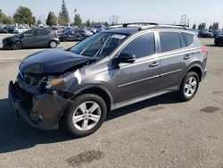 Salvage cars for sale from Copart Rancho Cucamonga, CA: 2013 Toyota Rav4 XLE