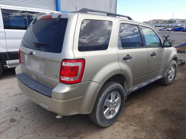 2011 Ford Escape XLT