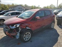 Salvage cars for sale from Copart York Haven, PA: 2019 Ford Ecosport SE