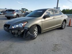 Honda Accord exl salvage cars for sale: 2009 Honda Accord EXL