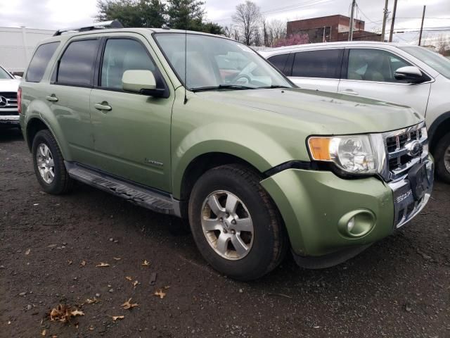 2009 Ford Escape Hybrid