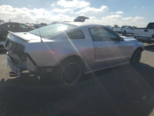 2013 Ford Mustang