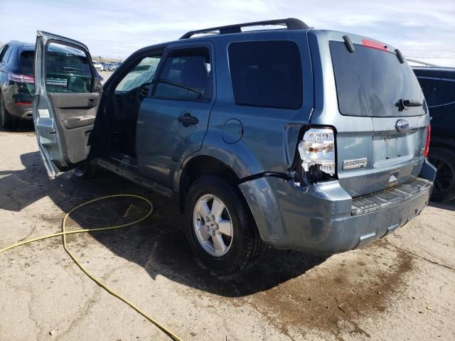 2010 Ford Escape XLT