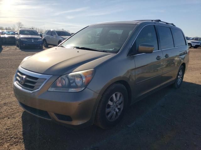 2008 Honda Odyssey EXL