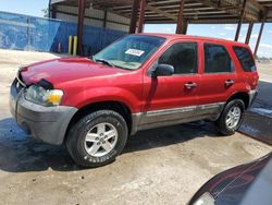 Salvage cars for sale from Copart Riverview, FL: 2006 Ford Escape XLS