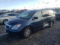 Honda salvage cars for sale: 2010 Honda Odyssey EX