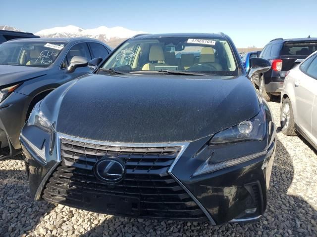 2019 Lexus NX 300H