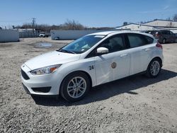 Ford salvage cars for sale: 2016 Ford Focus SE