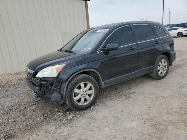 2009 Honda CR-V EX