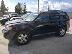 Salvage cars for sale at Rancho Cucamonga, CA auction: 2010 Ford Escape XLT