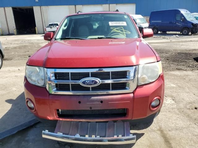 2011 Ford Escape Limited