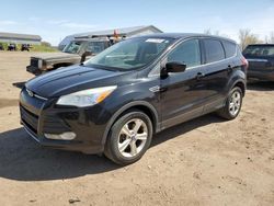 Buy Salvage Cars For Sale now at auction: 2013 Ford Escape SE