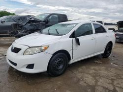 Salvage cars for sale at Memphis, TN auction: 2010 Toyota Corolla Base