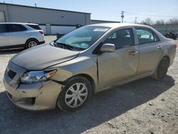Salvage cars for sale from Copart Leroy, NY: 2010 Toyota Corolla Base