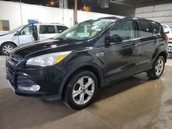 Salvage cars for sale from Copart Blaine, MN: 2014 Ford Escape SE