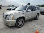 2008 Cadillac Escalade Luxury