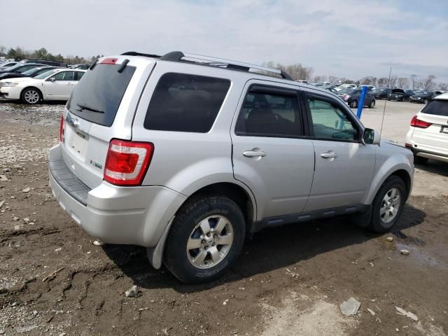 2012 Ford Escape Limited