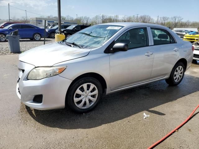 2010 Toyota Corolla Base