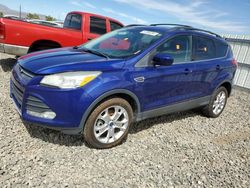 Salvage cars for sale at Reno, NV auction: 2013 Ford Escape SE