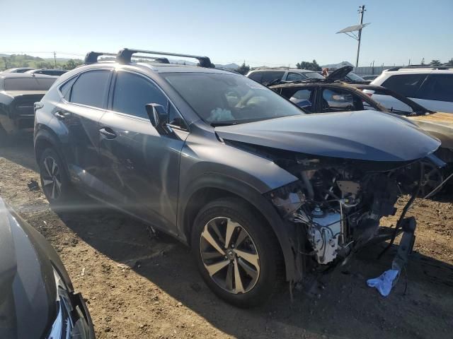 2020 Lexus NX 300H