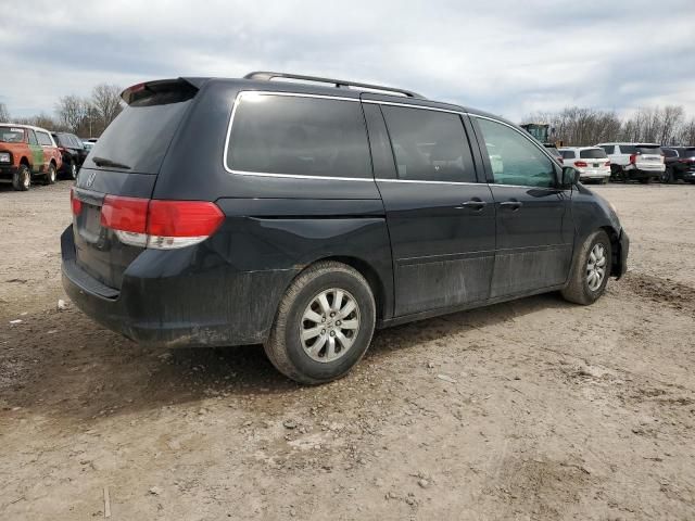 2008 Honda Odyssey EXL