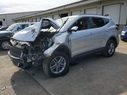 Salvage cars for sale at Louisville, KY auction: 2017 Hyundai Santa FE Sport