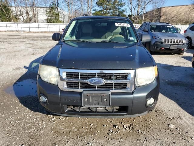 2008 Ford Escape XLT