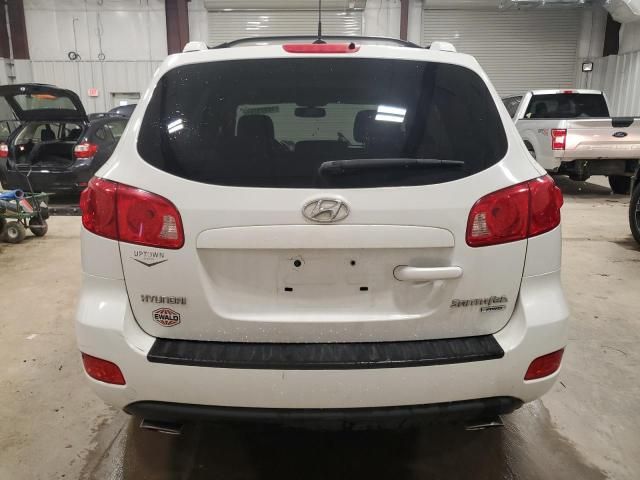 2007 Hyundai Santa FE SE