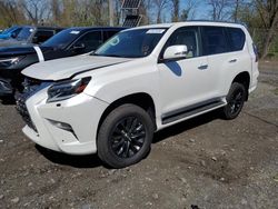 Salvage cars for sale from Copart Marlboro, NY: 2023 Lexus GX 460